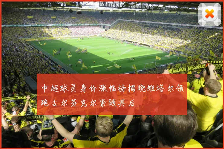 中超球员身价涨幅榜揭晓维塔尔领跑古尔芬克尔紧随其后