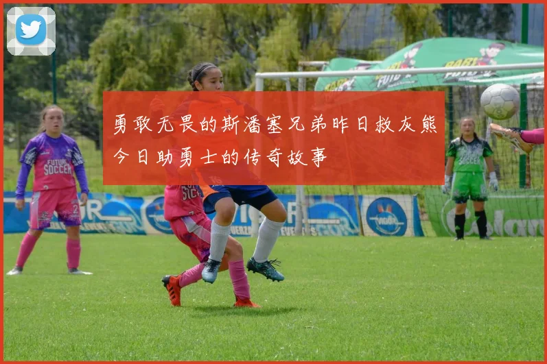 勇敢无畏的斯潘塞兄弟昨日救灰熊今日助勇士的传奇故事