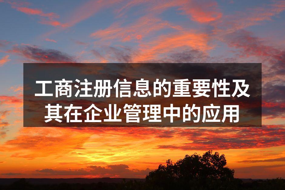 工商注册信息示例图