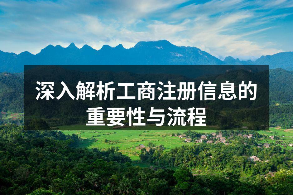 工商注册流程图解